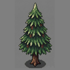 Pine